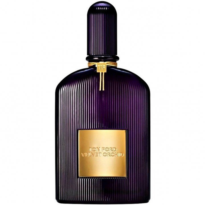 Velvet Orchid